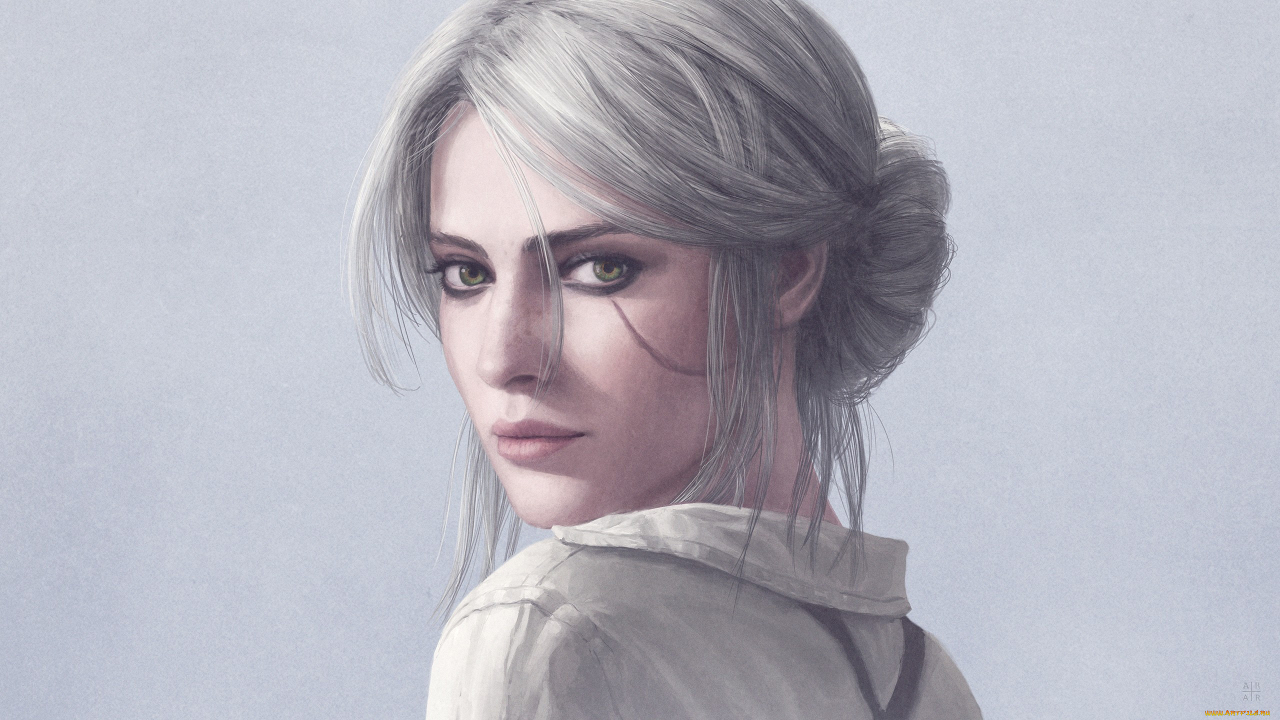 the witcher 3,  wild hunt,  , 